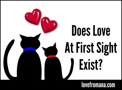 Does Love at First Sight Exist?