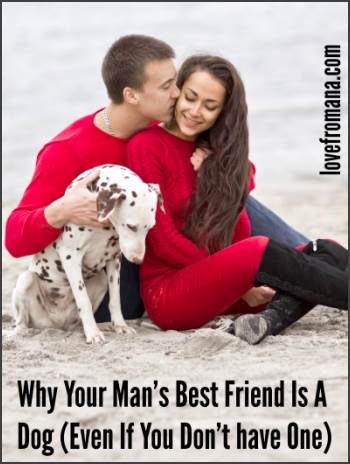 Why Man's Best Friend Is a Dog