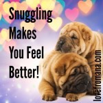 Snuggling Makes You Feel Better